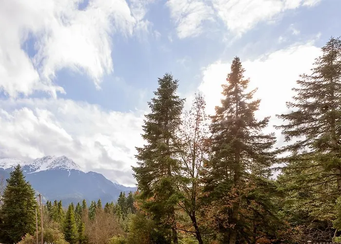 Country Club & Hotel 3*